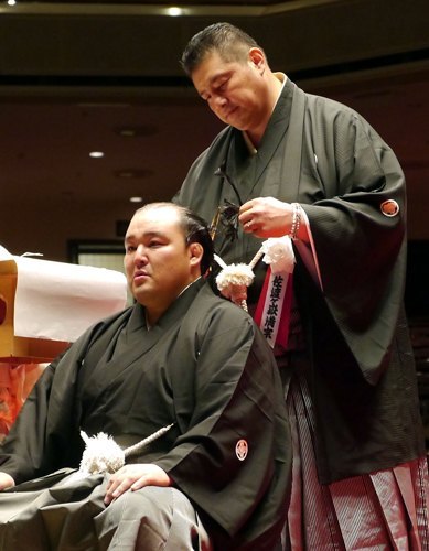 Sadogatake Oyakata realizando el último corte en el oicho-mage de Kotoyutaka (Foto Akinomaki, Sumoforum.net)