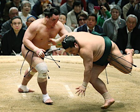 El Yokozuna Harumafuji no pudo reeditar la victoria de ayer y caía hoy derrotado de forma sorprendente ante Kotoyuki (Foto: Sumoforum.net)