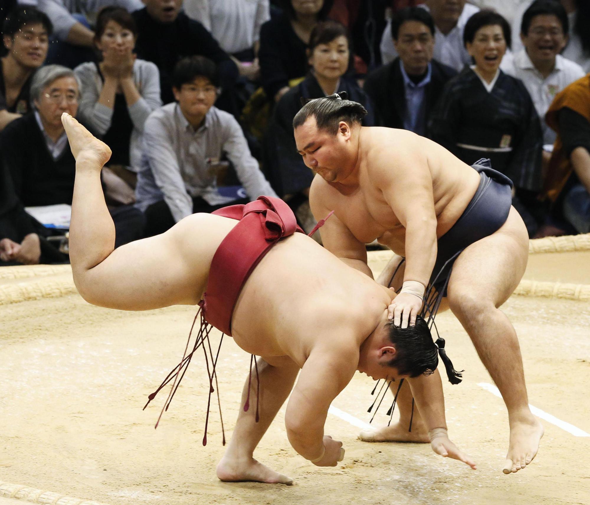 El Yokozuna Kakuryu se mantiene como líder invicto tras una semana de competición (Foto: SumoForum.net)