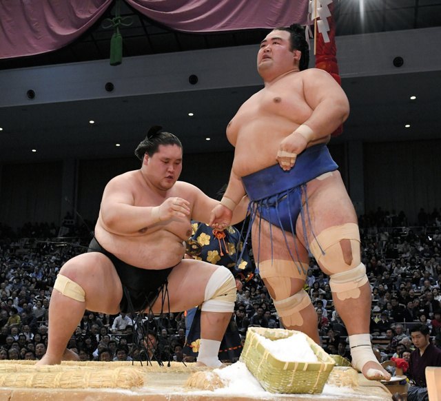 Terunofuji y Kotoshogiku, el primero a punto de superar el kadoban y el segundo a punto de volver a serlo (Foto: SumoForum.net)