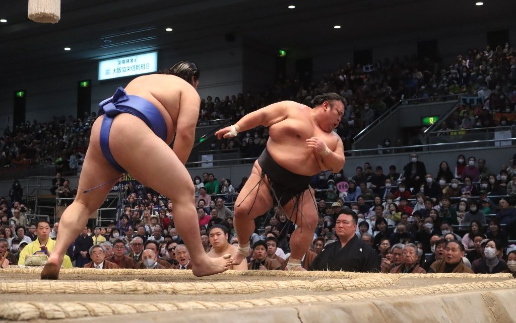 Onosato vs Takakeisho Haru 2024