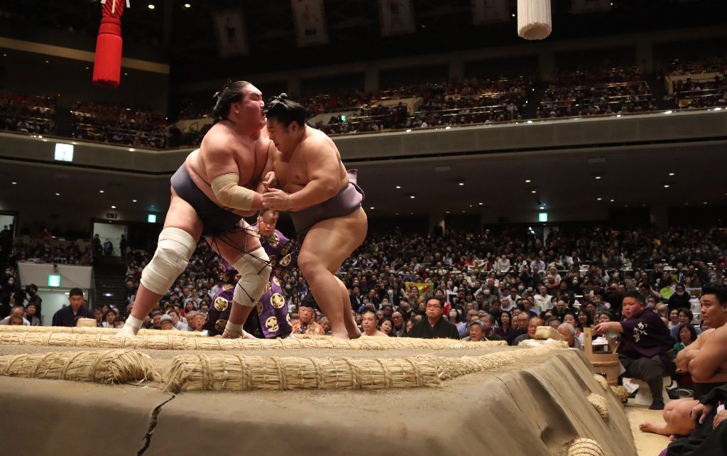 Terunofuji vs Tobizaru Hatsu 2025