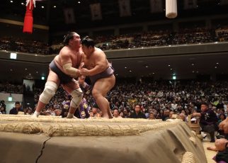 Terunofuji vs Tobizaru Hatsu 2025