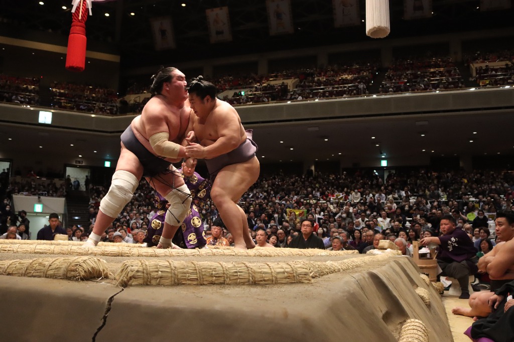 Terunofuji vs Tobizaru Hatsu 2025