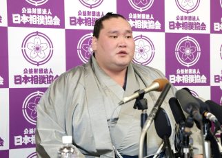 Yokozuna Terunofuji intai